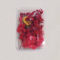 HKM-794067 Dried Flower Photo Frame Craft Kit with Everlasting Flowers