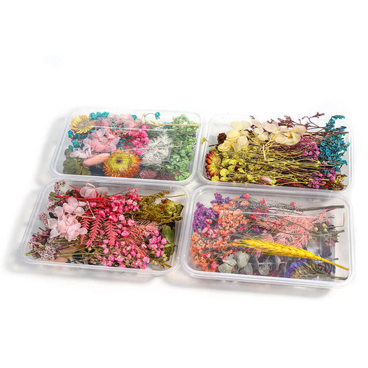 HKM-794067 Dried Flower Photo Frame Craft Kit with Everlasting Flowers