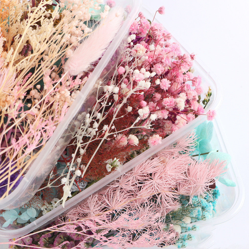 HKM-794067 Dried Flower Photo Frame Craft Kit with Everlasting Flowers