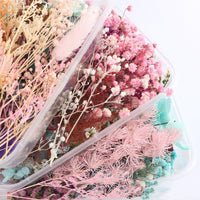 HKM-794067 Dried Flower Photo Frame Craft Kit with Everlasting Flowers