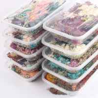 HKM-794067 Dried Flower Photo Frame Craft Kit with Everlasting Flowers