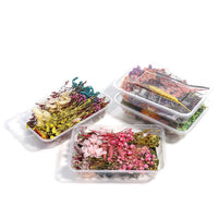 HKM-794067 Dried Flower Photo Frame Craft Kit with Everlasting Flowers