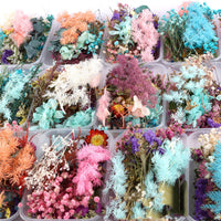 HKM-794067 Dried Flower Photo Frame Craft Kit with Everlasting Flowers