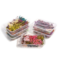 HKM-794067 Dried Flower Photo Frame Craft Kit with Everlasting Flowers