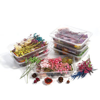 HKM-794067 Dried Flower Photo Frame Craft Kit with Everlasting Flowers