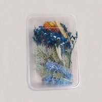 HKM-794067 Dried Flower Photo Frame Craft Kit with Everlasting Flowers