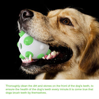 HKM-794899 Spherical dog toy molar rod