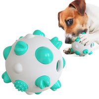 HKM-794899 Spherical dog toy molar rod