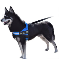 HKM-795475 Nylon Dog Leash and Chest Harness - Adjustable, Available in Blue, Black, Red, and Eight-Strand Rope, Sizes S to XXL