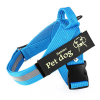 HKM-795475 Nylon Dog Leash and Chest Harness - Adjustable, Available in Blue, Black, Red, and Eight-Strand Rope, Sizes S to XXL