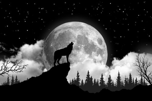 KTX-795987 Wolf on the Moon Decorative Polyester Tapestry - European Style Wall Art