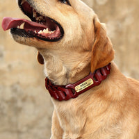 HKM-796627 Braided Leather Dog Collar in Dark Brown and Vermilion for Medium to Large Dogs