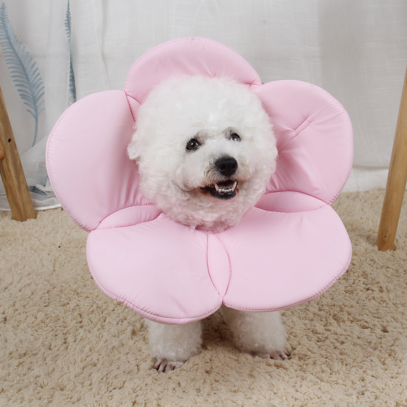 HKM-797459 Pet Anti-Scratch Protective Cover - Rainbow, Pink, Yellow-Green, Purple, Blue, Red Options Available