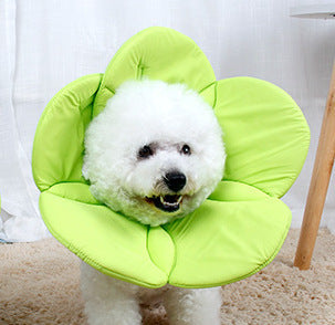 HKM-797459 Pet Anti-Scratch Protective Cover - Rainbow, Pink, Yellow-Green, Purple, Blue, Red Options Available