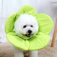 HKM-797459 Pet Anti-Scratch Protective Cover - Rainbow, Pink, Yellow-Green, Purple, Blue, Red Options Available