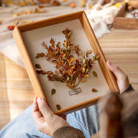 HKM-797523 Solid Wood Black Walnut Dried Flower Photo Frame - Modern Rectangular Design
