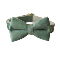 HKM-798931 Mint Green Velvet Dog Collar and Leash Set with Bow Tie and Dog Ring