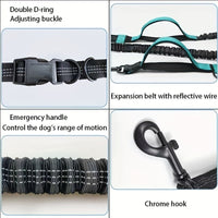 HKM-803539 Adjustable Hands-Free Dog Leash with Durable Nylon Waist Belt for Running and Walking