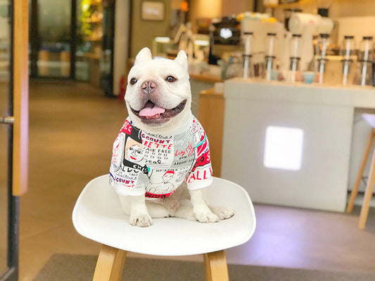 HKM-803603 Cozy Cotton Leisure Sweater for Schnauzers, Shiba Inus, and Bichon Dogs - Sizes L to 3XL