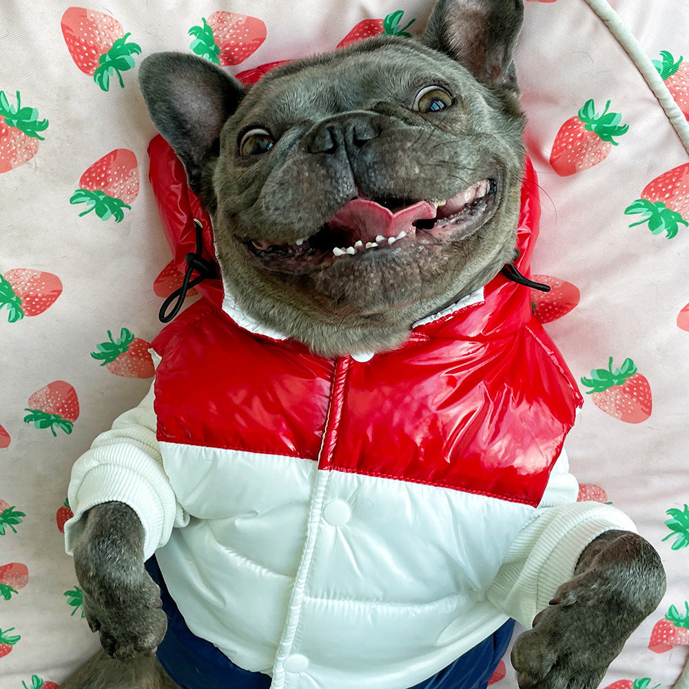 HKM-803667 Three-Color Cotton-Padded Vest for Dogs - XS to 2XL, Casual Winter Wear for Pets