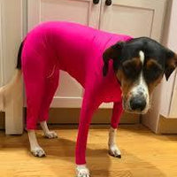 HKM-805523 Reflective Waterproof Nylon Vest with Polar Fleece for Large Dogs