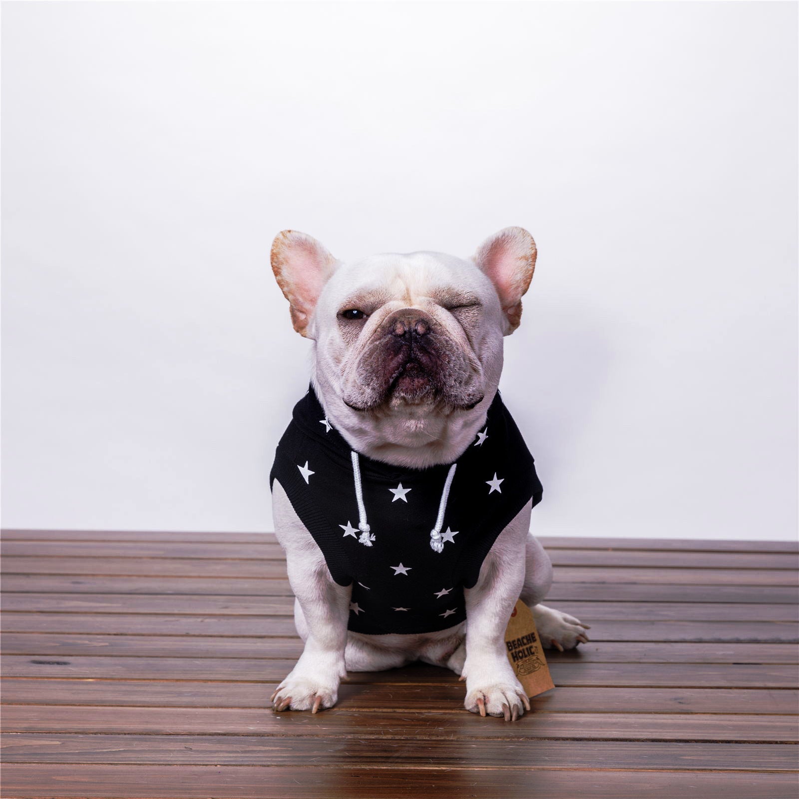 HKM-806291 Casual Cotton Sweater for Pets - Comfortable Printed Design