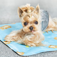 HKM-806419 Cooling Pet Ice Mat for Cats and Puppies, Soft Ice Gel Filling, 30x40cm