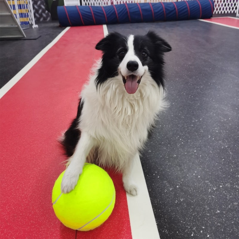 HKM-807251 Tennis Pet Toy Inflatable Training Rubber Big Ball Elastic Ten Times Happy Corgi Golden Retriever