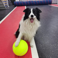 HKM-807251 Tennis Pet Toy Inflatable Training Rubber Big Ball Elastic Ten Times Happy Corgi Golden Retriever