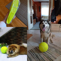HKM-807251 Tennis Pet Toy Inflatable Training Rubber Big Ball Elastic Ten Times Happy Corgi Golden Retriever