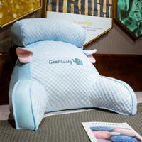 HKM-807699 Latex Bedside Cushions & Soft Lumbar Support Pillows in Various Sizes and Designs