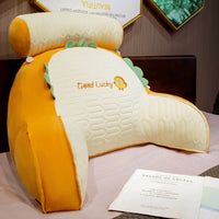 HKM-807699 Latex Bedside Cushions & Soft Lumbar Support Pillows in Various Sizes and Designs