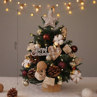 HKM-808403 Christmas Tree with Lights - Various Sizes and Snow or Traditional Styles in PE Material