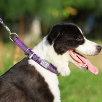 HKM-808787 Army Green, Orange, Purple, Royal Blue, Black and Red Dog Collar - Multiple Sizes 2XS to 3XL Available
