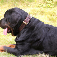 HKM-809811 Retro Leather Dog Collar for Medium to Large Breeds – Black & Brown Options Available