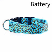 HKM-809939 Rechargeable LED Dog Collar with Adjustable Sizing for Small to Large Dogs
