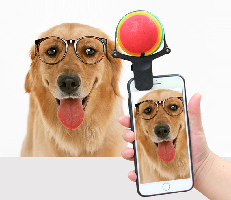 HKM-810707 Pet photo props toy pet photo selfie artifact funny dog camera phone clip tennis selfie clip