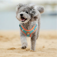 HKM-811283 Soft Cotton Pet Collar and Leash Set with Chest Strap for Small to Medium Dogs
