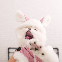 HKM-812691 Cozy Polyester Fiber and Plush Kitten Clothes for British and American Shorthairs