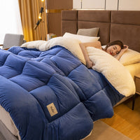 HKM-814867 Reversible Velvet Thickened Duvet Insert with Antibacterial Fiber Filling, Multiple Sizes Available