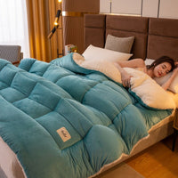 HKM-814867 Reversible Velvet Thickened Duvet Insert with Antibacterial Fiber Filling, Multiple Sizes Available
