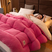 HKM-814867 Reversible Velvet Thickened Duvet Insert with Antibacterial Fiber Filling, Multiple Sizes Available