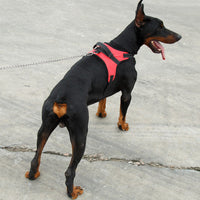 HKM-816723 Camouflage Pet Saddle Chest Strap Dog Vest for Outdoor Traction