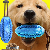 HKM-818451 New Pet Dog Food Leakage Ball Toothbrush Elastic Rubber Ball Molar Bite Resistant Pet Interactive Toy Supplies