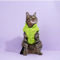 HKM-818579 Fluorescent Green Winter Vest for Cats and Dogs with Scarf - Anti-Lint Polyester Fiber Apparel