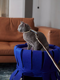 HKM-819155 Multi-functional Double Deck Cat Scratching Board in Volcano Orange and Serenity Blue