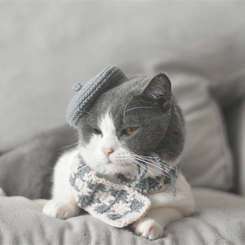 HKM-819667 Small Dog Beret and Scarf Set with Black and Gray Options for Pets