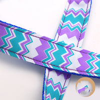 HKM-820115 Colorful Wave Pattern Nylon Dog Leash - Traction Belt, 120cm Length