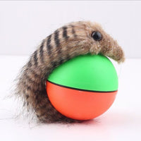 HKM-820755 Pet automatic cat ball