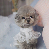 HKM-823059 Breathable Lace Sunscreen Skirt for Dogs and Cats - Fashionable and Comfortable